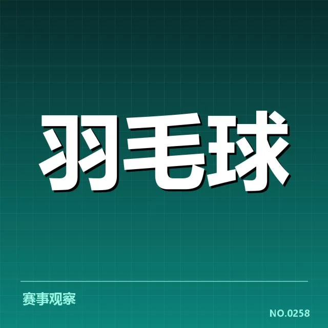 赛事确认的裁判与判罚数据情况